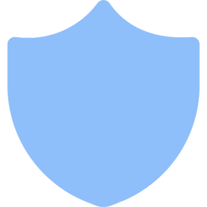 Shield 2 Icon from Core Flat - Free Set