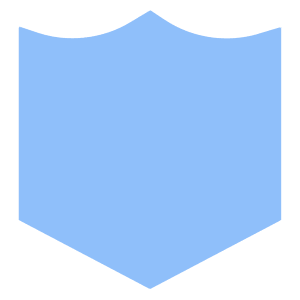 Shield 2 Icon from Sharp Flat - Free Set