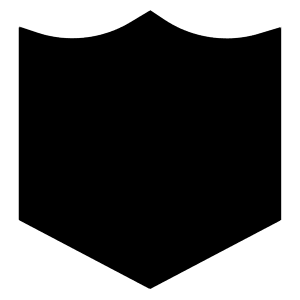 Shield 2 Icon from Sharp Solid - Free Set