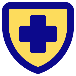 Shield Cross Icon from Core Pop - Free Set