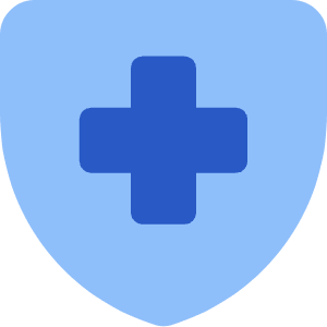 Shield Cross Icon from Core Flat - Free Set