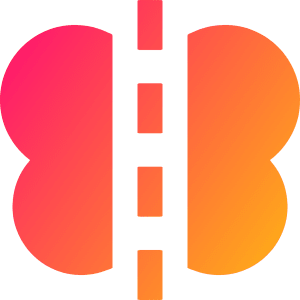Symmetry Mirror 1 Icon from Sharp Gradient- Free Set