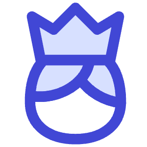 User King Crown Icon from Flex Duo - Free Set