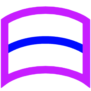 Wrap Arch Icon from Sharp Neon - Free Set