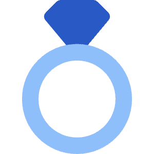 Ring Icon from Core Flat Set