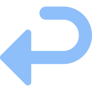 Return 2 Icon from Core Flat Set