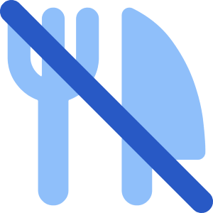 No Food Allowed Icon from Core Flat Set