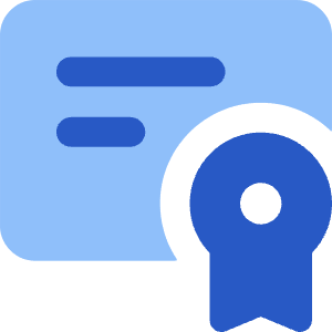 Document Certificate Icon from Core Flat Set
