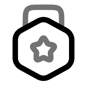 Medal Star Icon from Solar Line Duotone Set