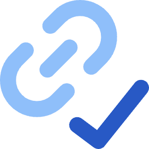 Link Chain Check Validate Icon from Core Flat Set