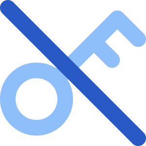 Key Access Vpn Off Disabled Icon from Core Flat Set