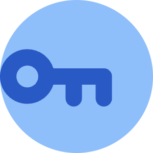 Key Password Access Icon from Core Flat Set
