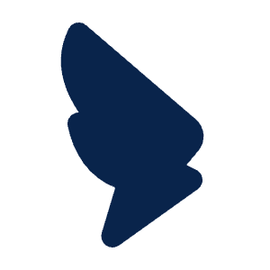 Dingtalk Fill Icon from Mingcute Fill Set