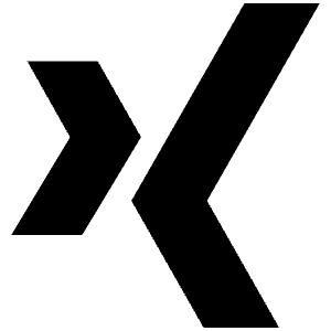 Logo Xing Icon from Ionic Filled Set