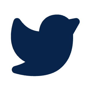 Twitter Fill Icon from Mingcute Fill Set