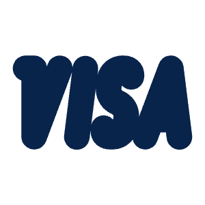 Visa Fill Icon from Mingcute Fill Set