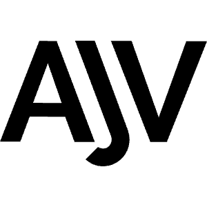 Ajv Icon from Simple Icons Set