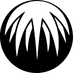 Bitcomet Icon from Simple Icons Set