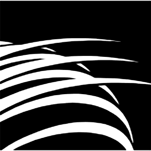 Copaairlines Icon from Simple Icons Set