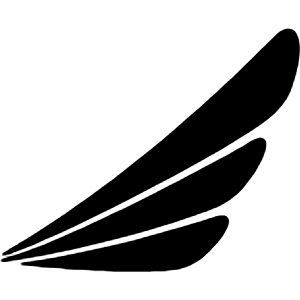 Ethiopianairlines Icon from Simple Icons Set