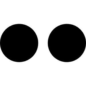 Flickr Icon from Simple Icons Set