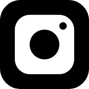 Instagram Logo Icon from Ultimate Bold - Free Set