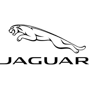Jaguar Icon from Simple Icons Set