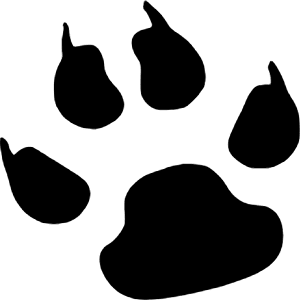 Lazarus Icon from Simple Icons Set