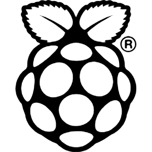 Raspberrypi Icon from Simple Icons Set