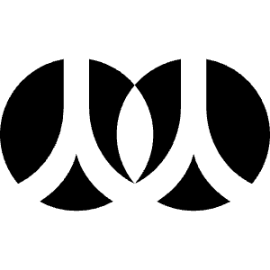 Renren Icon from Simple Icons Set