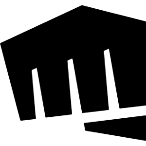Riotgames Icon from Simple Icons Set