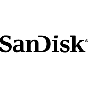 Sandisk Icon from Simple Icons Set