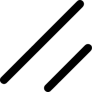 Shadcnui Icon from Simple Icons Set