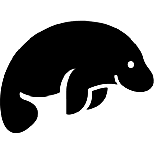 Studio3t Icon from Simple Icons Set