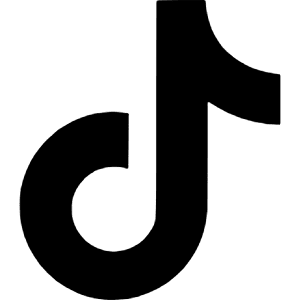 Tiktok Icon from Simple Icons Set