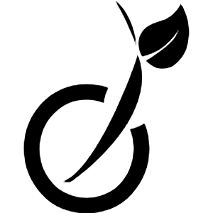 Viadeo Icon from Simple Icons Set