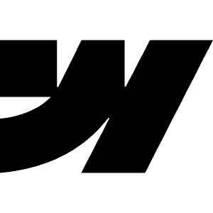 Webflow Icon from Simple Icons Set