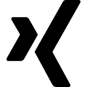 Xing Icon from Simple Icons Set