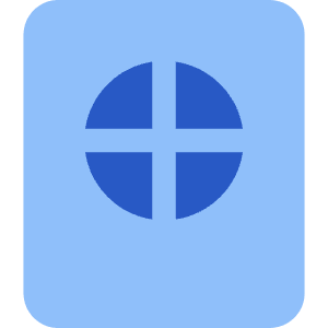 Passport Icon from Core Flat - Free Set