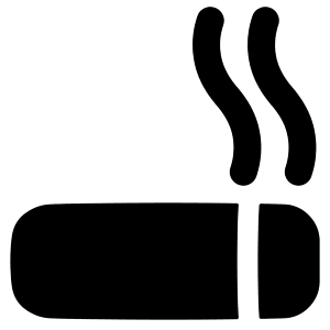 Smoking Area Icon from Plump Solid - Free Set