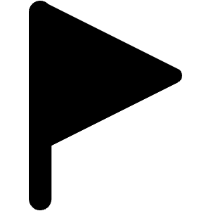 Triangle Flag Icon from Core Solid - Free Set