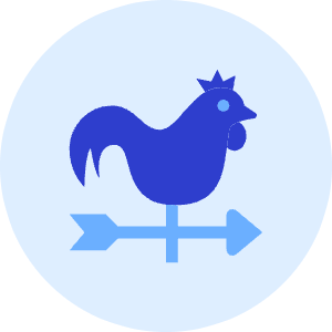 Wind Vane Icon from Kameleon Duo - Free Set
