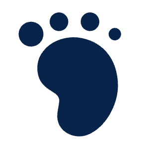 Foot Fill Icon from Mingcute Fill Set