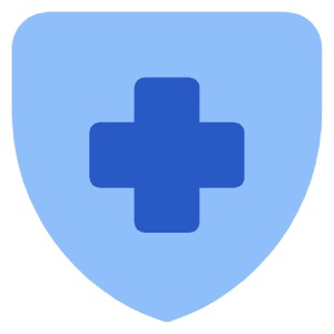 Sign Cross Shield Icon from Core Flat Set