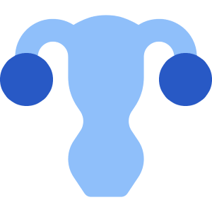 Gynecology Vagina Uterus Icon from Core Flat Set