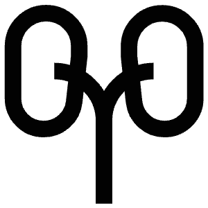 Kidneys Icon from Atlas Line Set