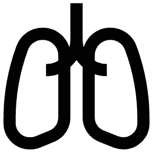 Lungs Icon from Atlas Line Set