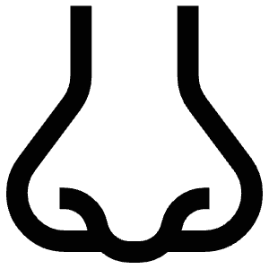 Nose Icon from Atlas Line Set