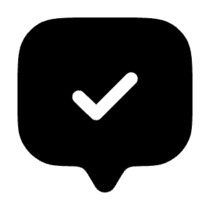 Chat Square Check Icon from Solar Bold Set