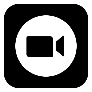 Zoom Logo 2 Icon from Logos Block - Free Set
